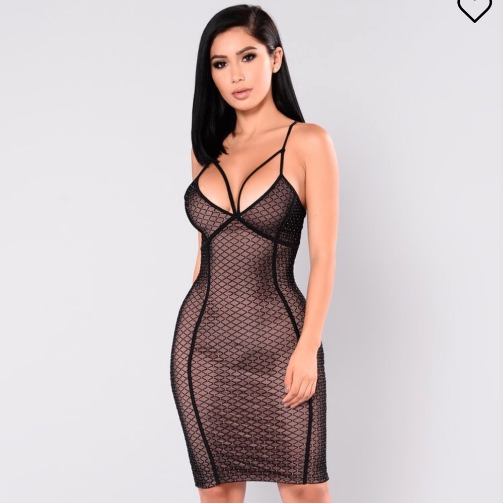 Fashion Nova Mesh Dress